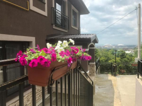 Apartment Aria